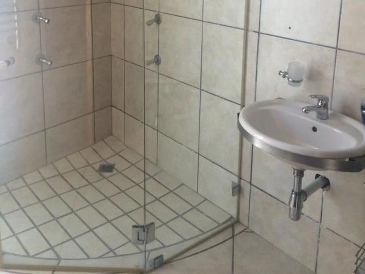 Royal Whale Watching