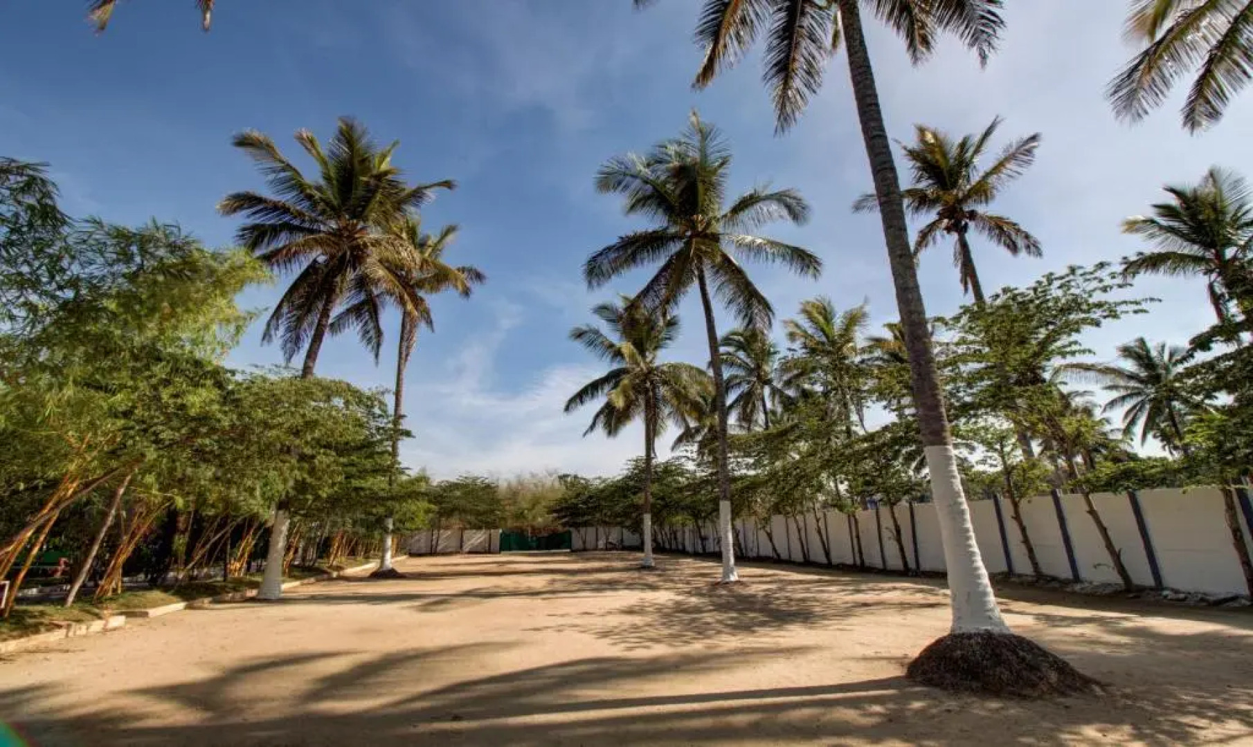 Treebo Trend Coorg Dew Drops