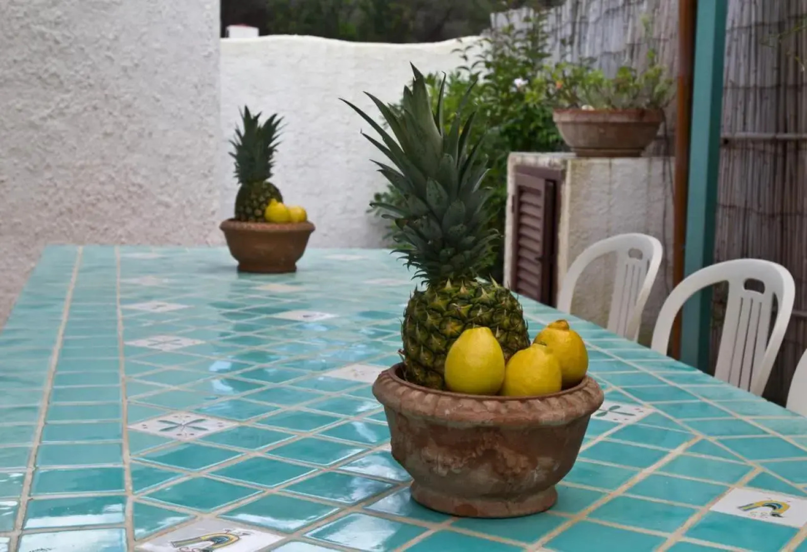 Jungle House - Pineta Is Morus