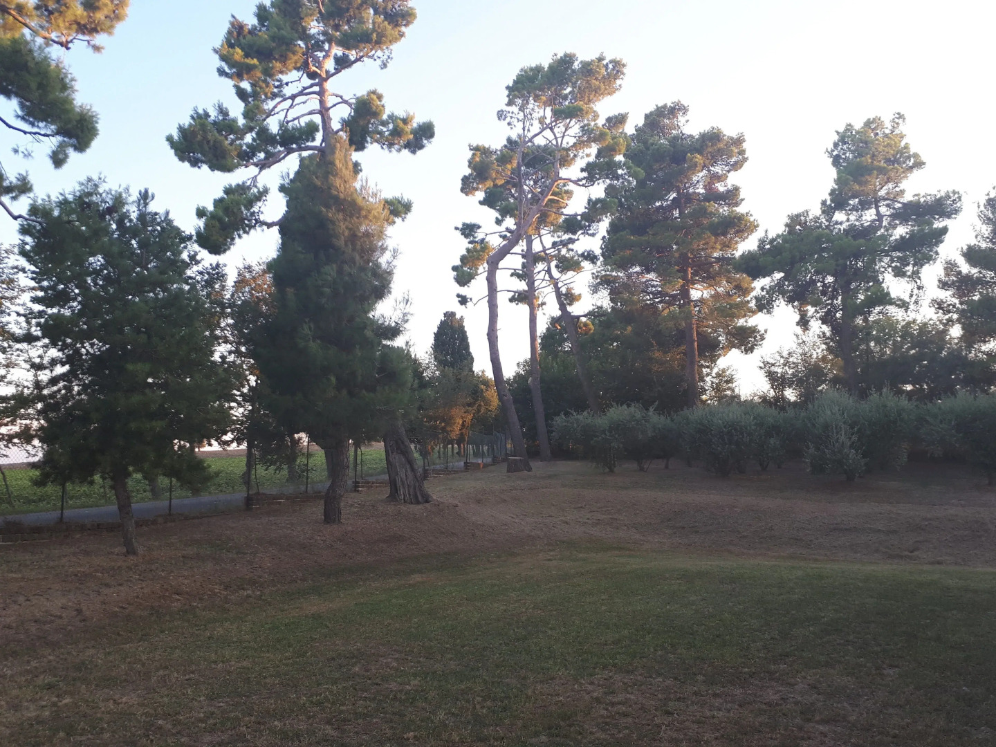 B&B I Pini Di Storaco