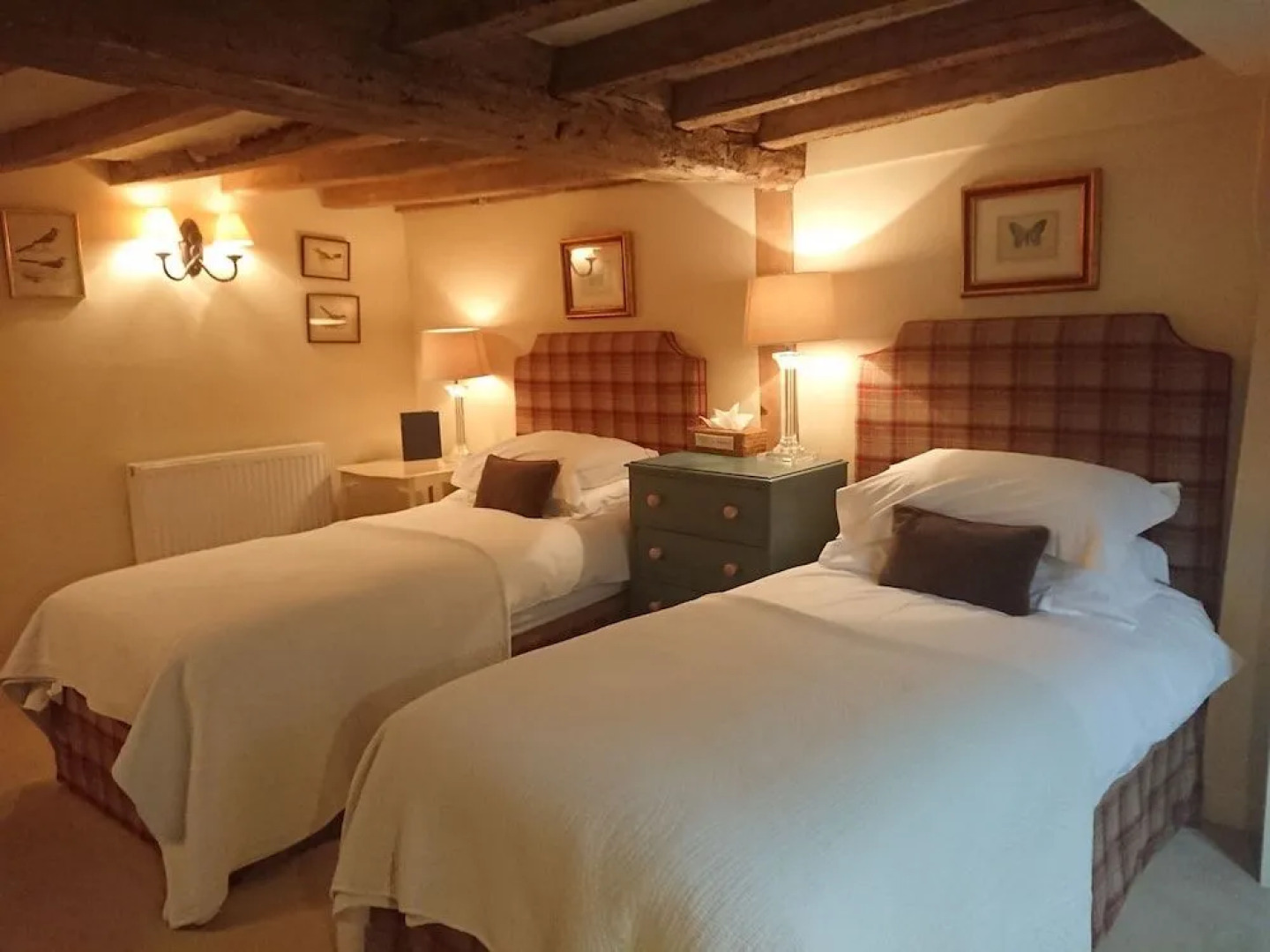 Patience - Tiger Inn