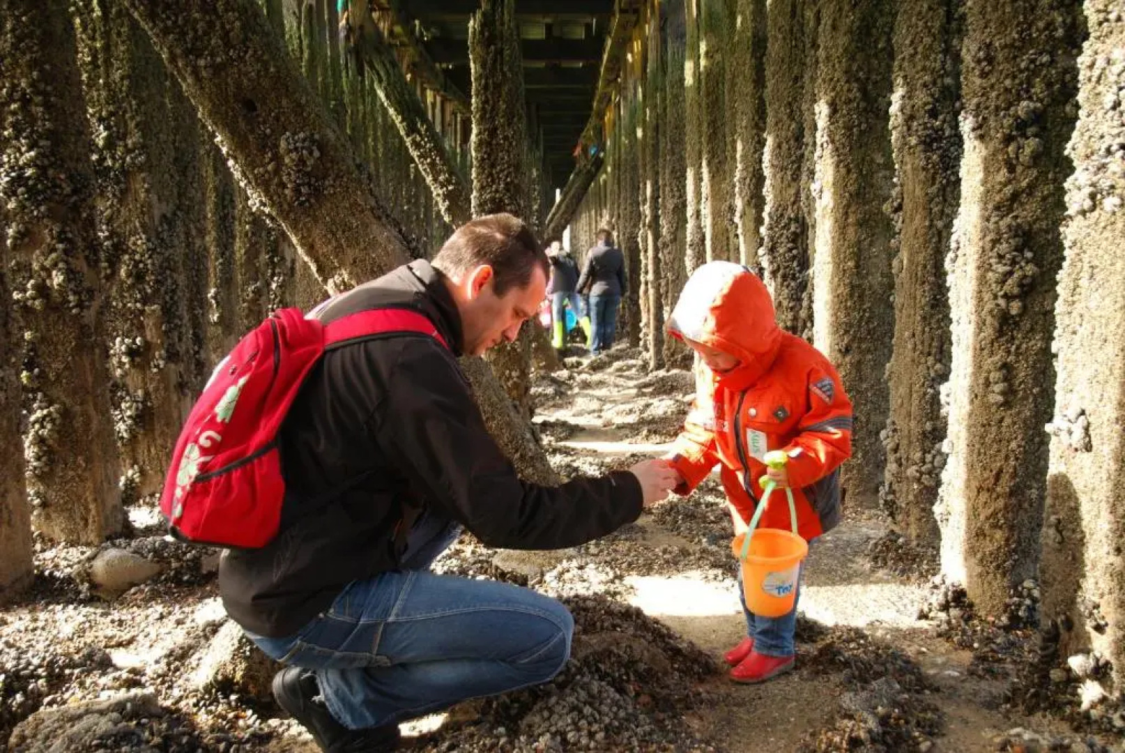 Minicamping De Visser