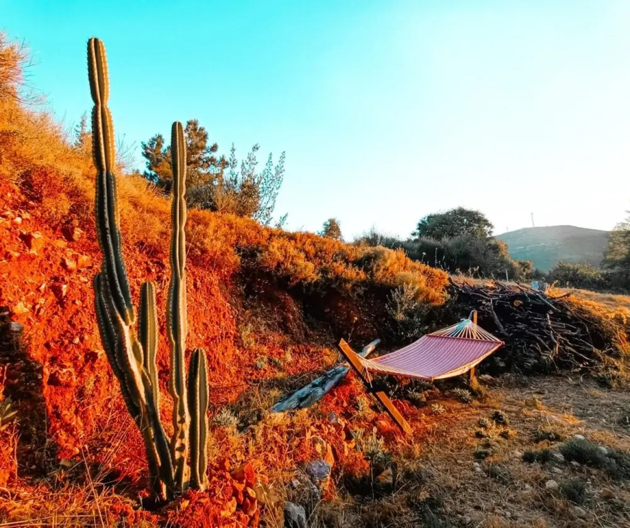 Enchanting Unique House With Backyard in Izmir