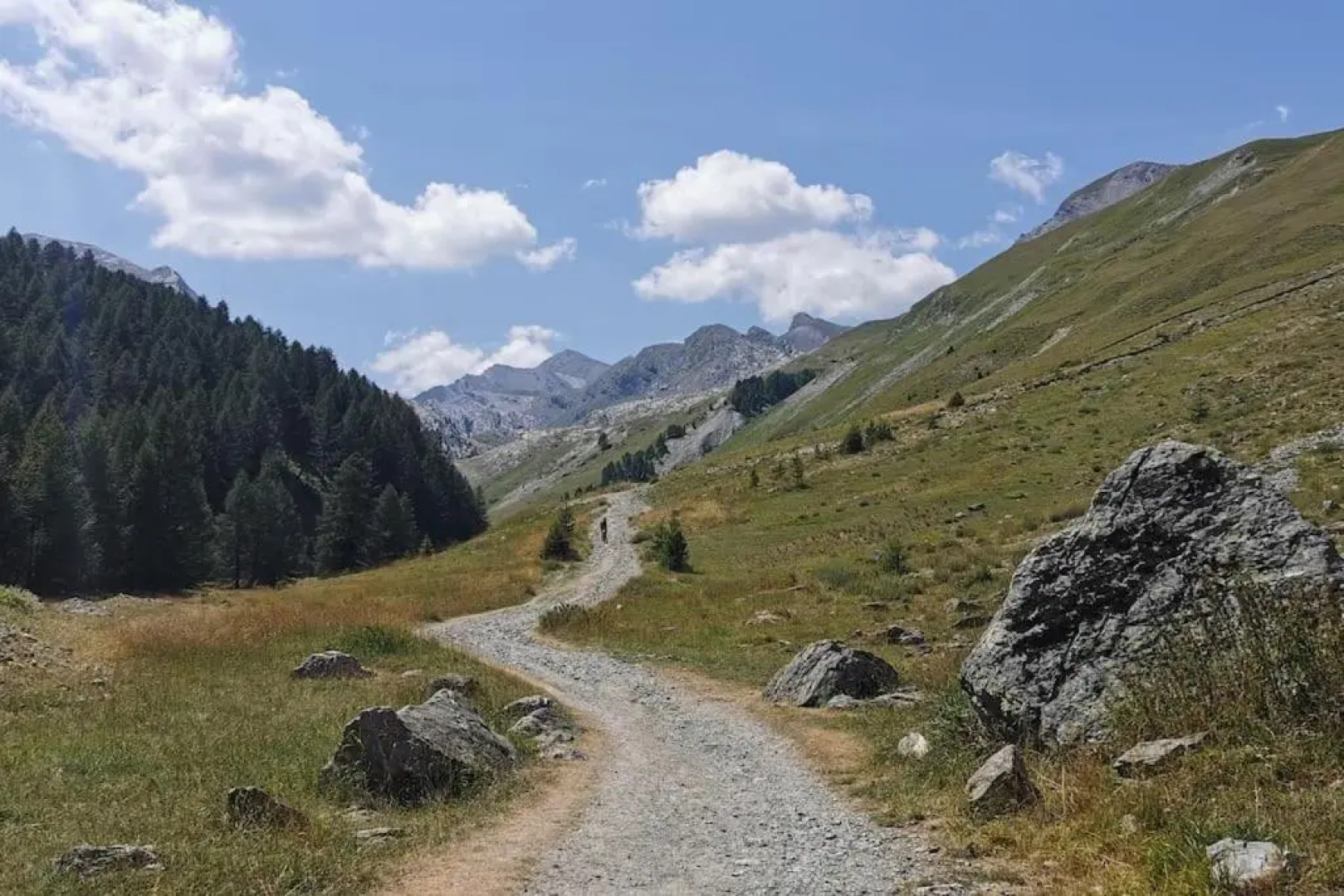 Rosebud, adorable et confortable petit chalet