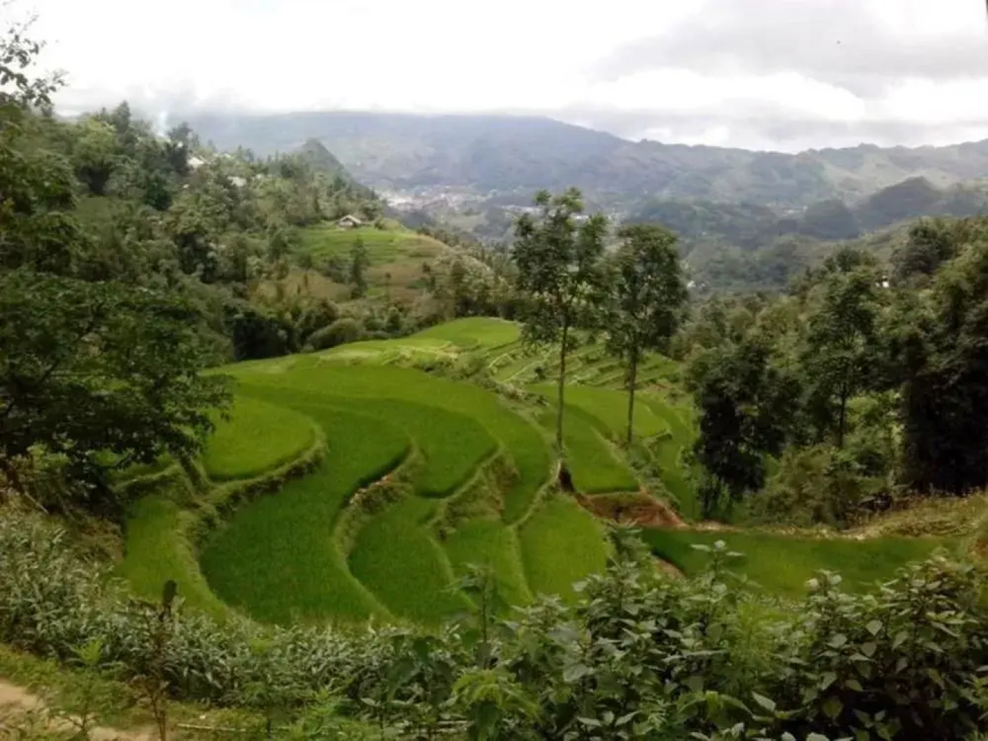 Ngan Nga Bac Ha Hotel
