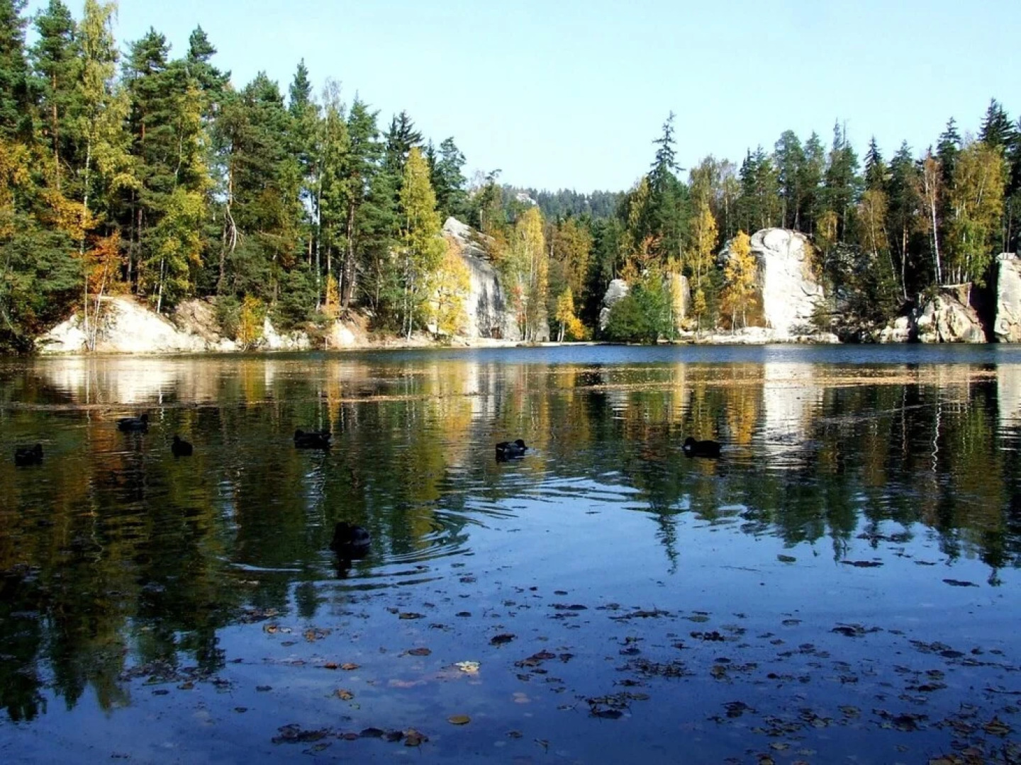 Zacler Kzf030 in acl r