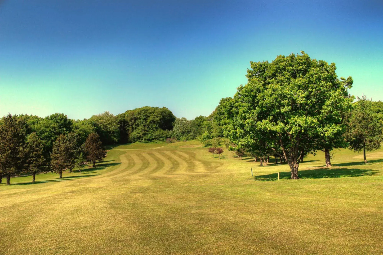 Sedlescombe Golf Hotel