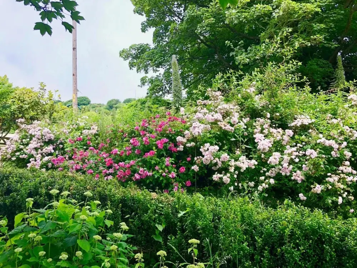 2 Old Park is an Enchanting Coastal Cottage Moments From the Beach