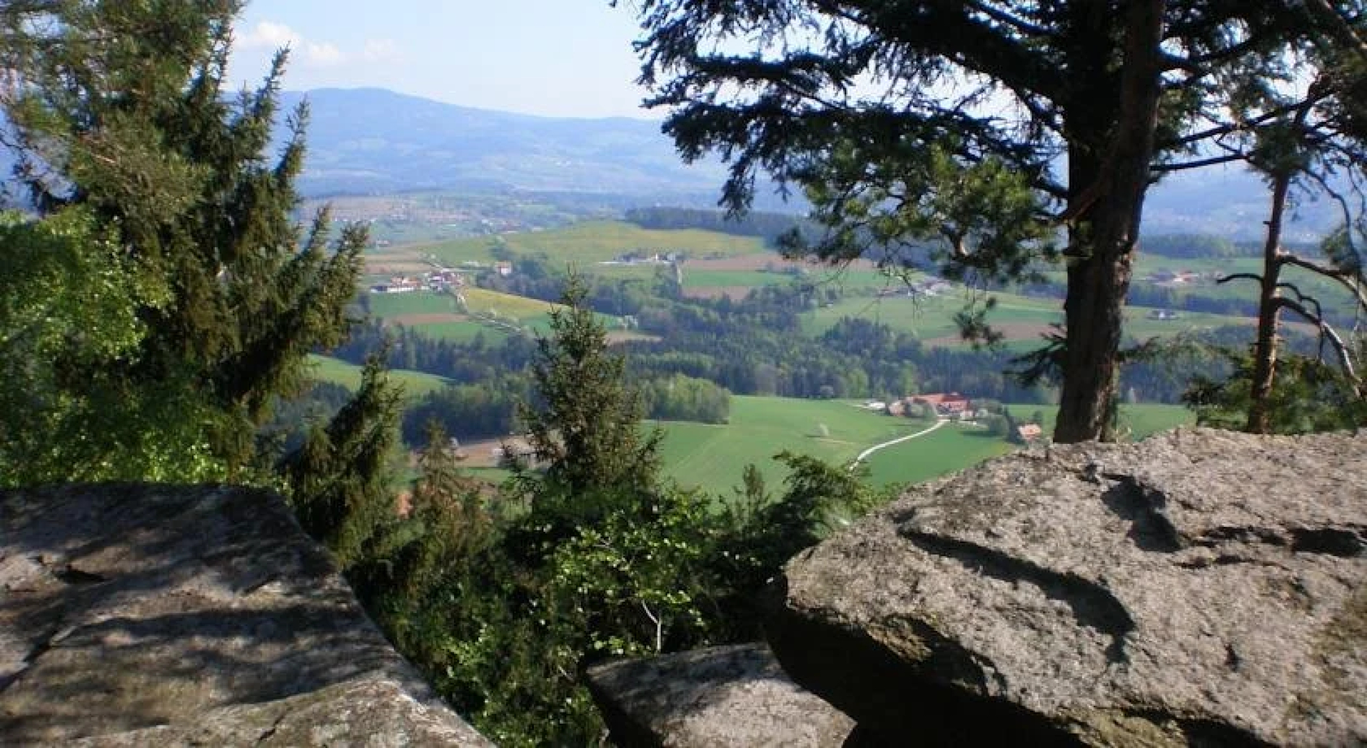 Wiesenbauer - Schlögl Anton