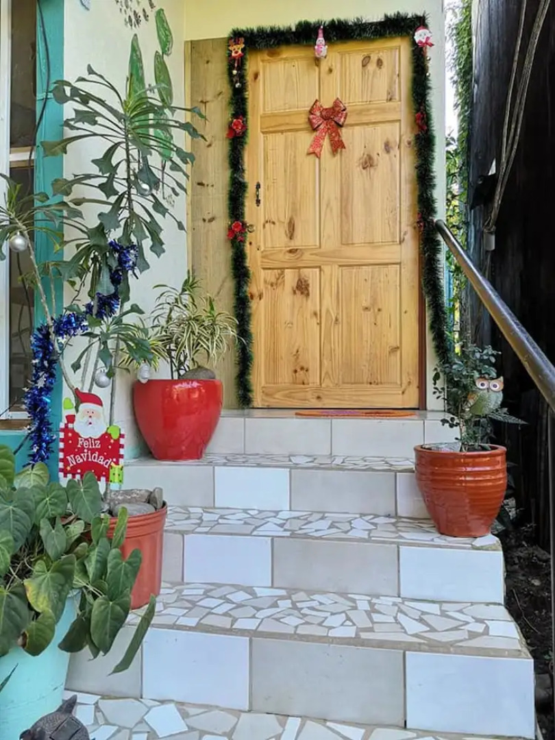 Blue Morpho House B&B