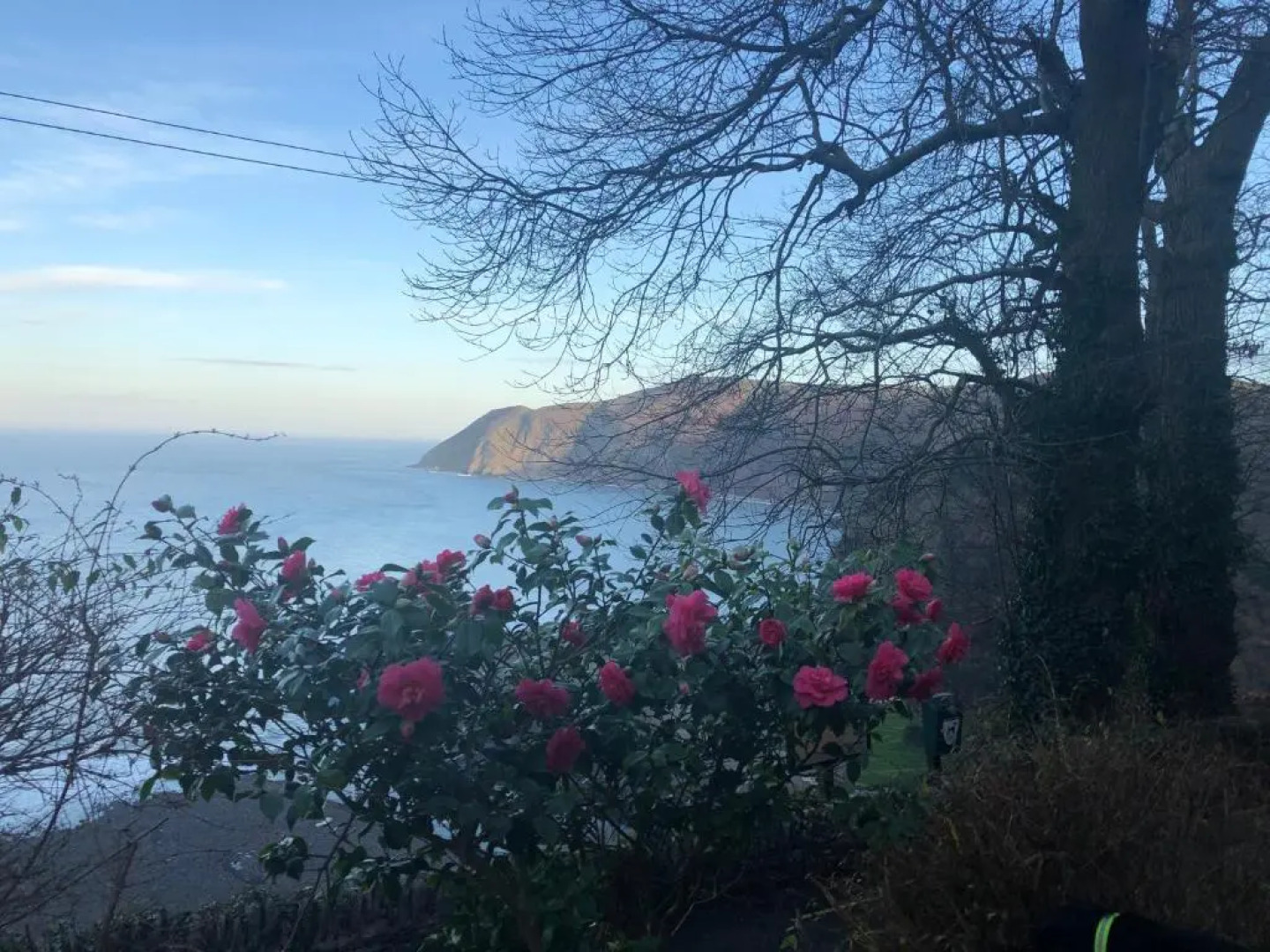 The North Cliff Hotel