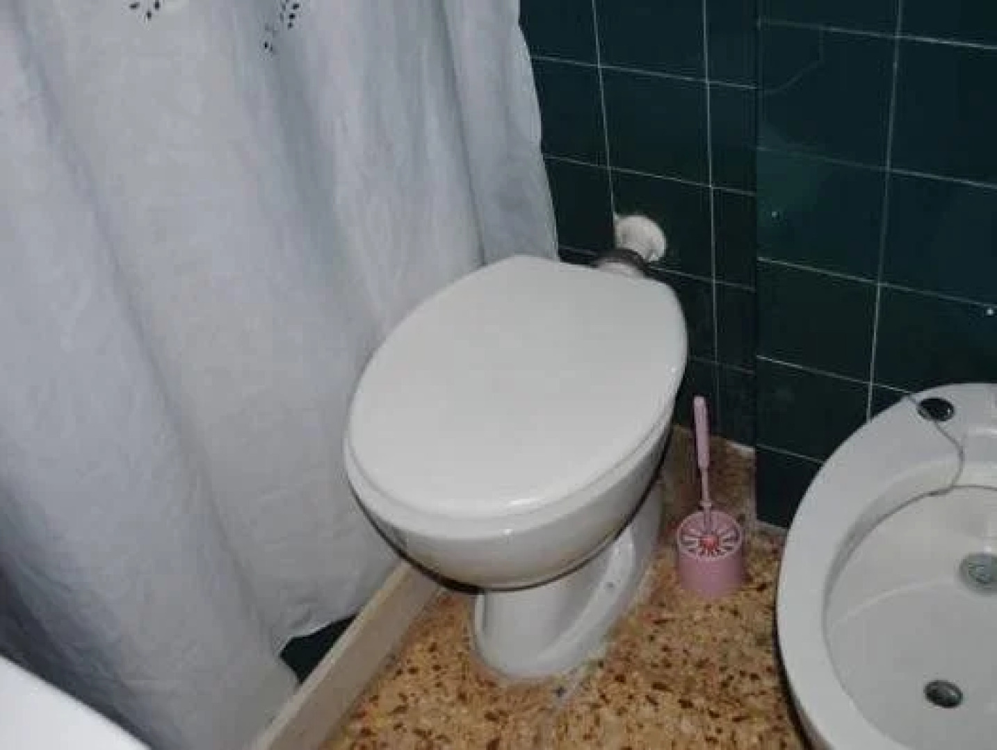 Hotel Perla Del Este