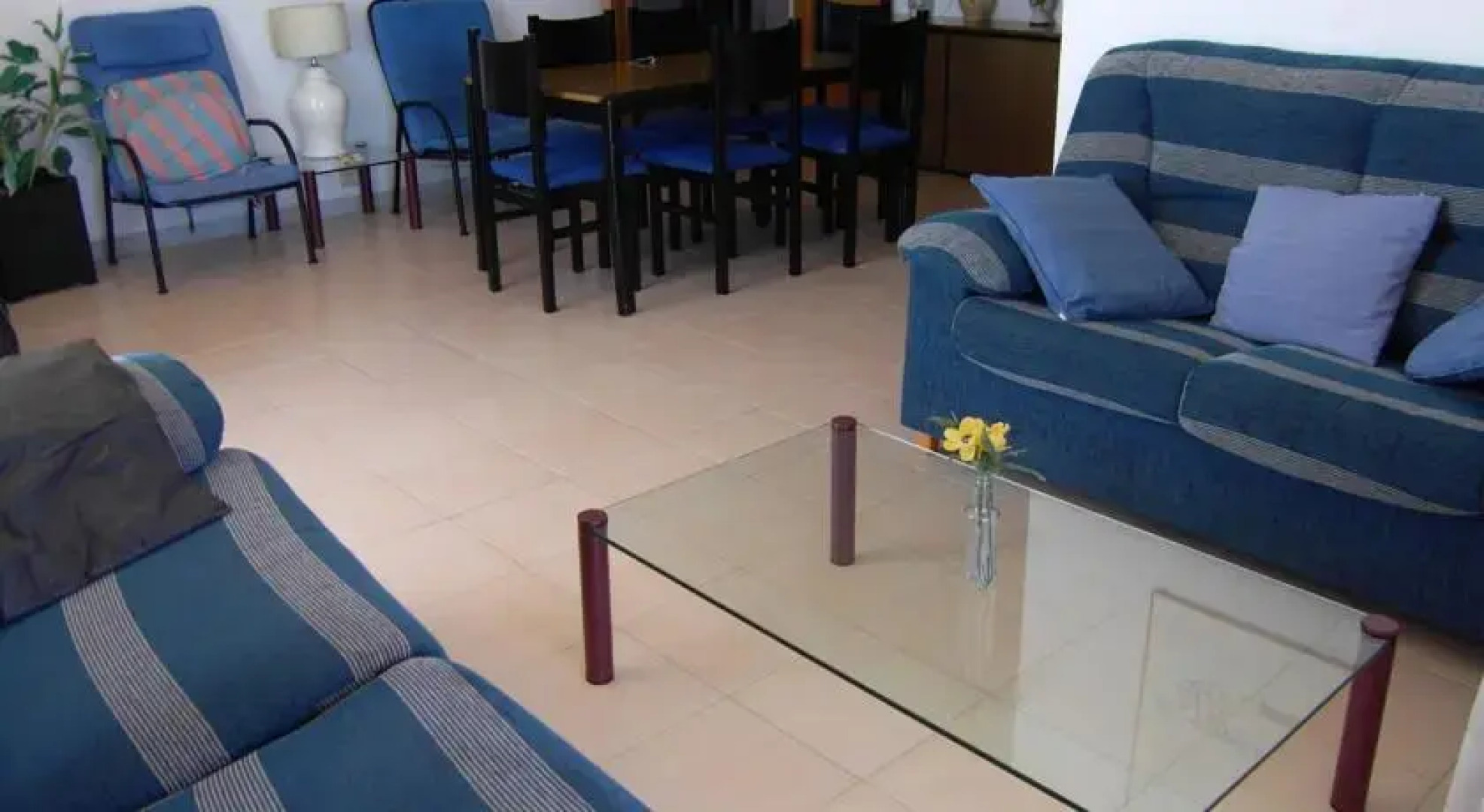 Anforas Mar 101-Els Pins