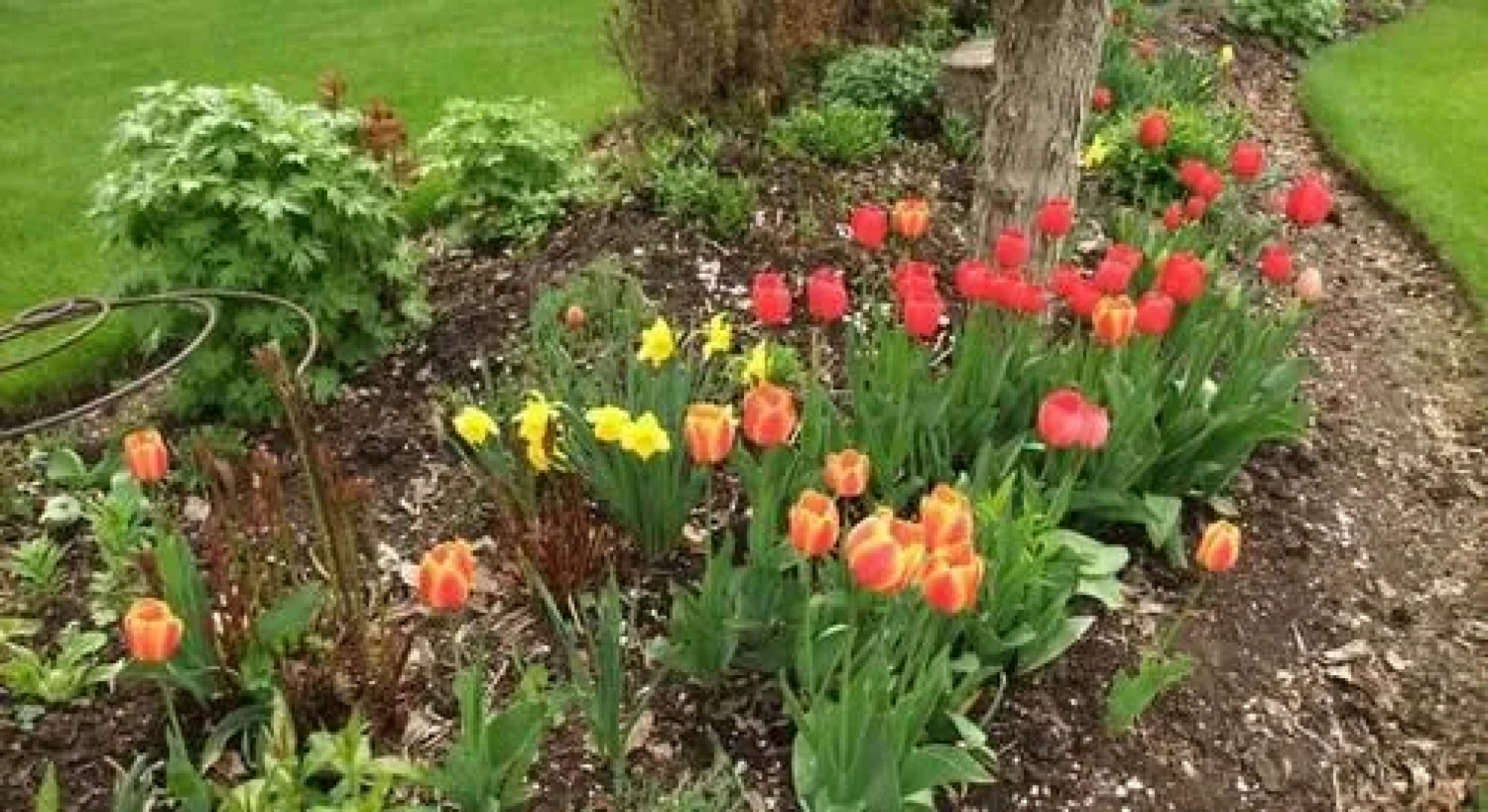 Windermere Lakeside Bed and Breakfast