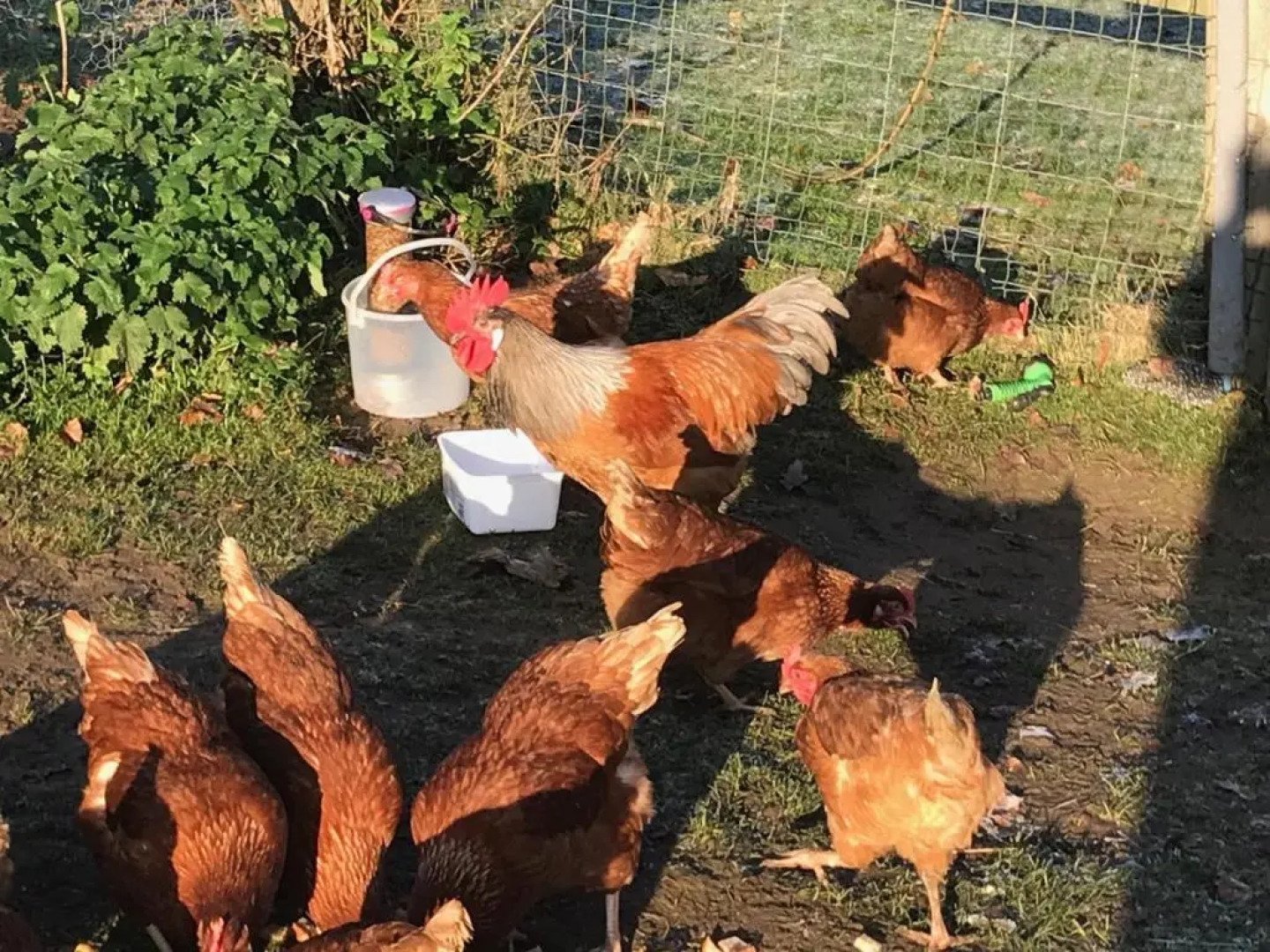 Chart House Bed And Breakfast