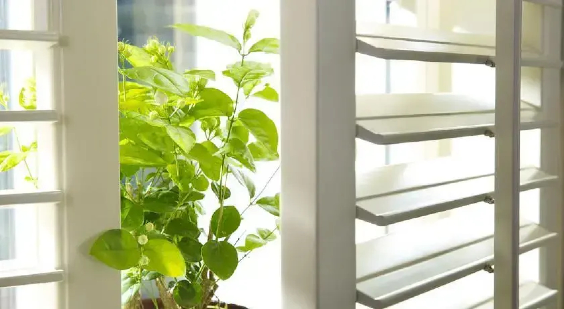 Tan Mu Lin Celebrity City Hotel