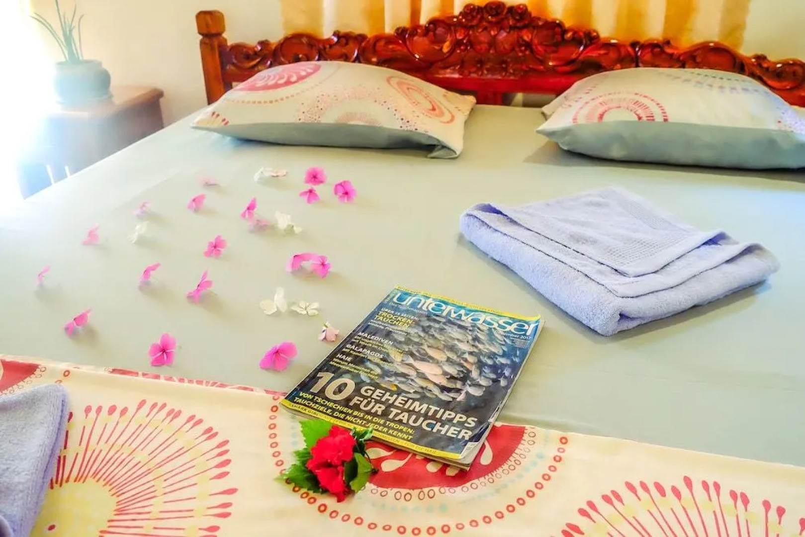 Southern Leyte Divers