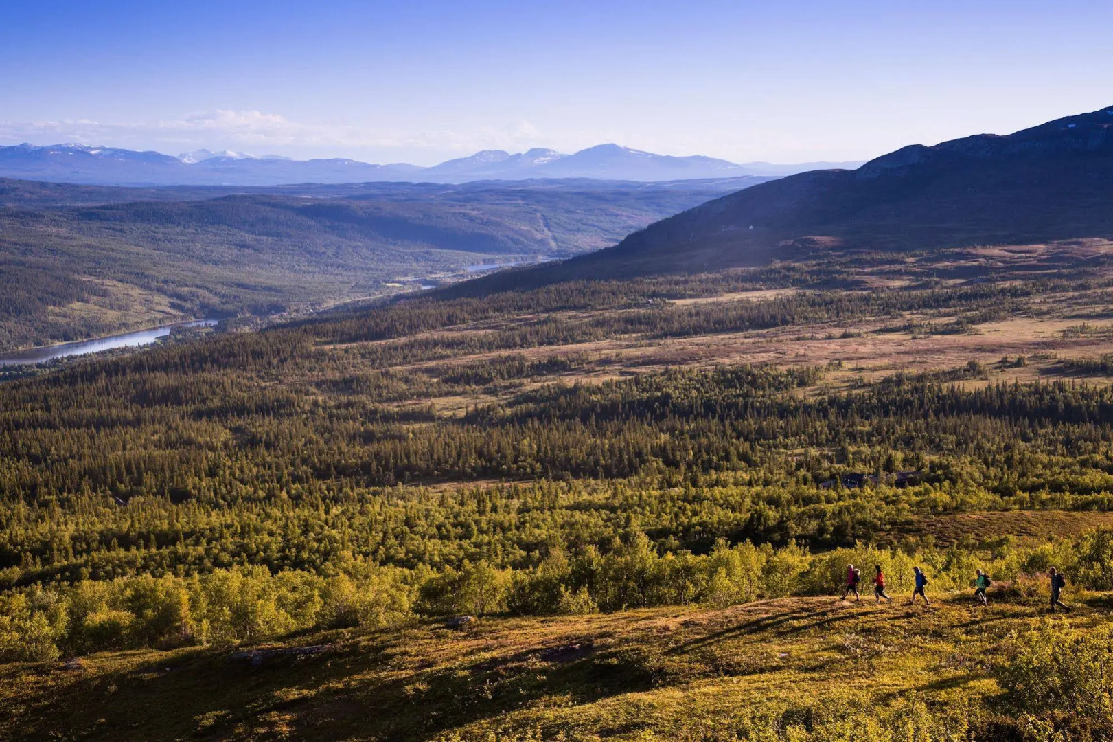 Buustamons Fjällgård