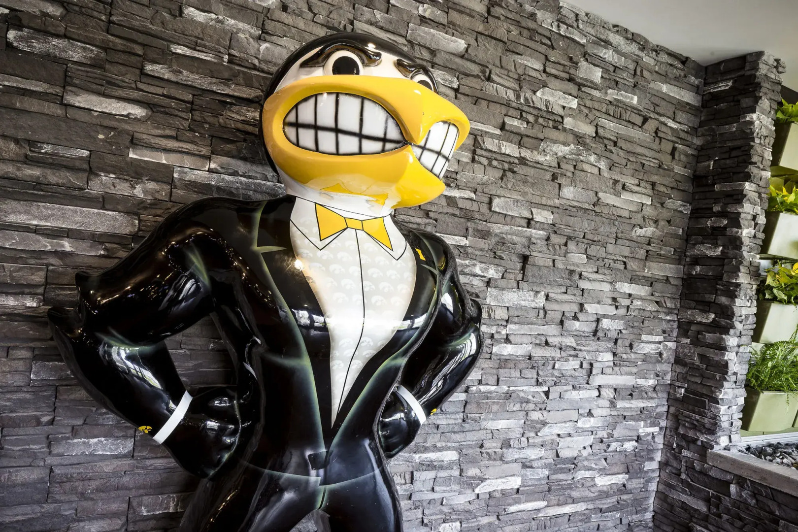 Holiday Inn Coralville Iowa City by IHG