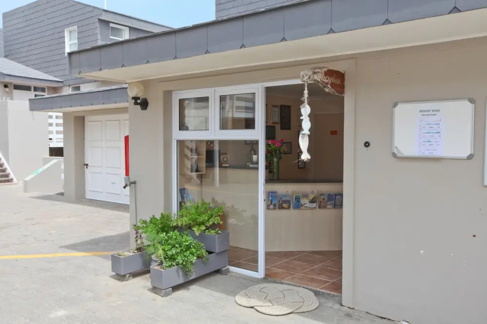 First Group Desert Rose