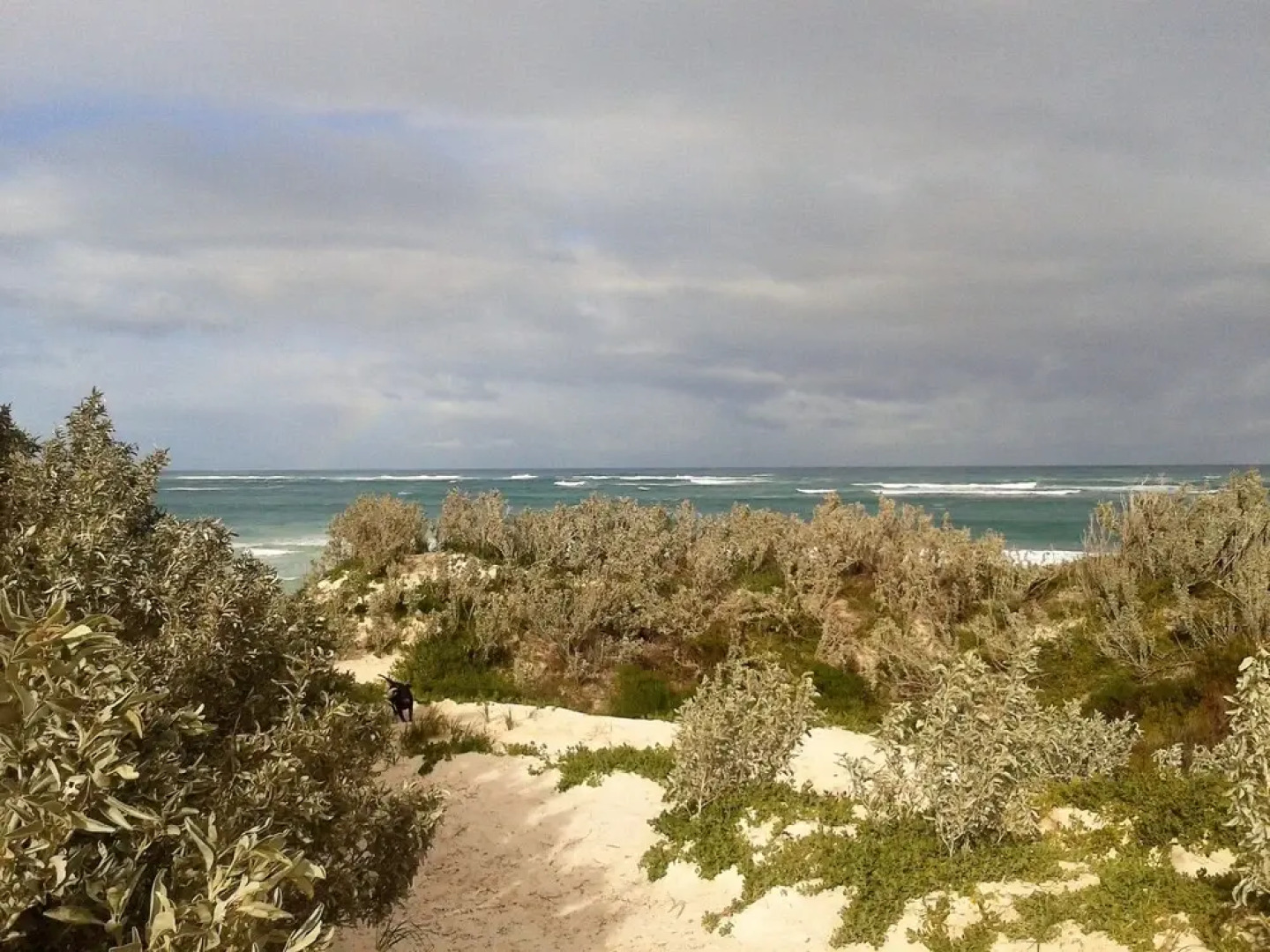 Beach Trails Retreat - Close to Beach & Pet Friendly