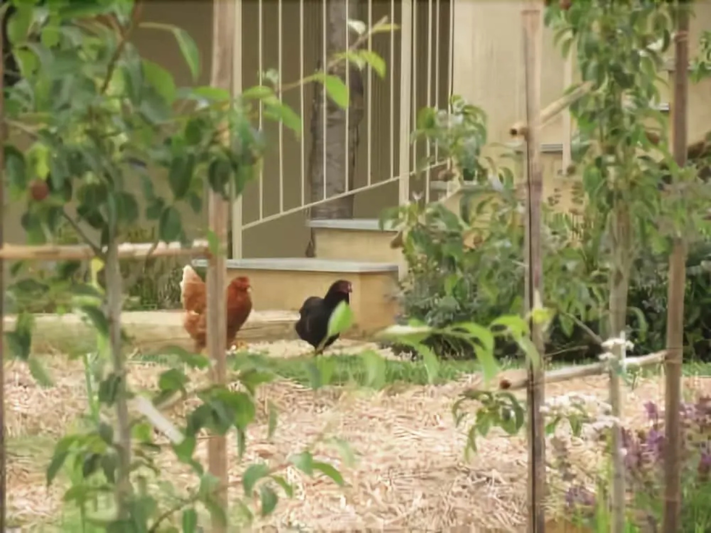 Agriturismo del Florario