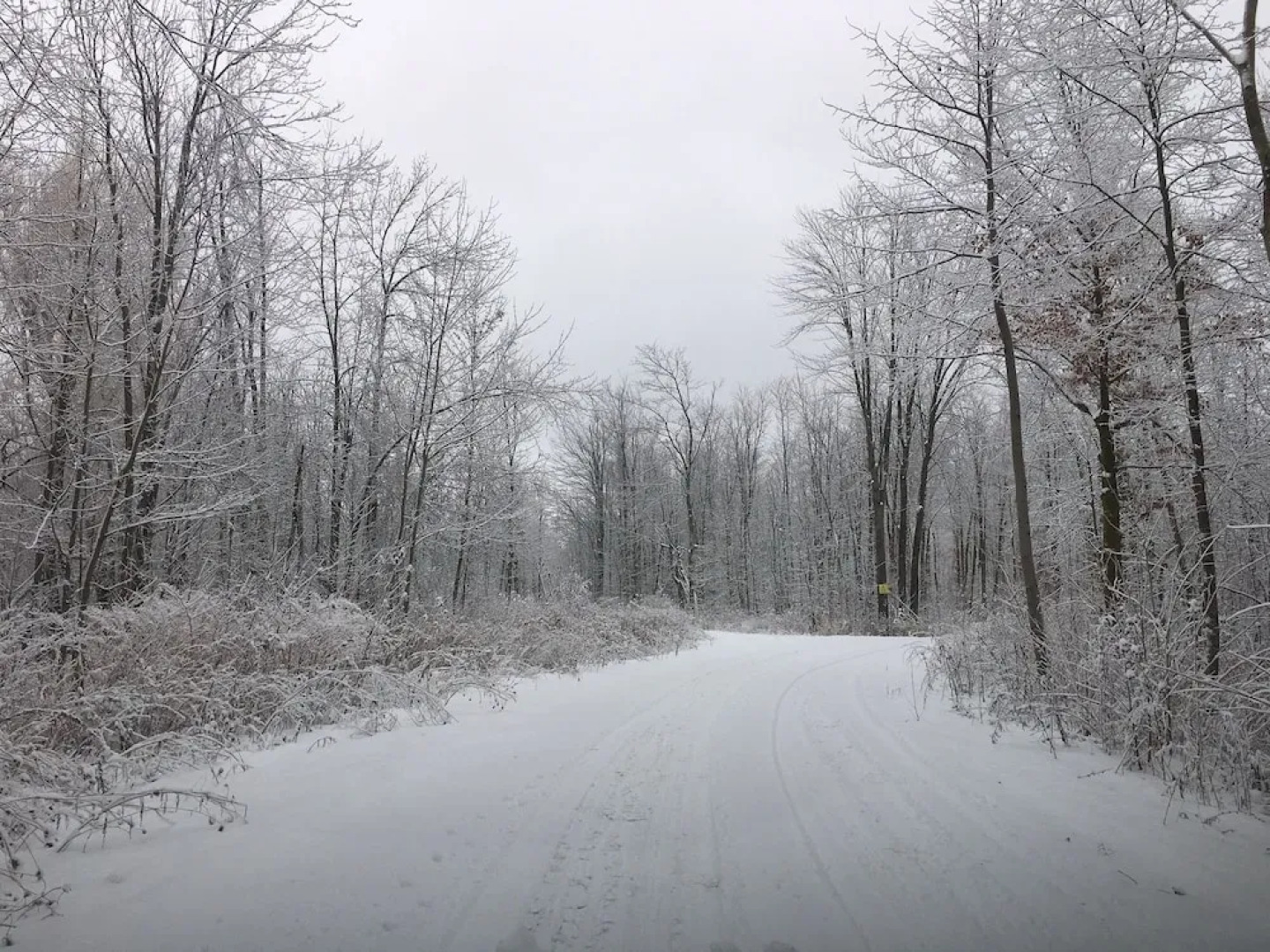 Mohawk Inn and Conference Centre