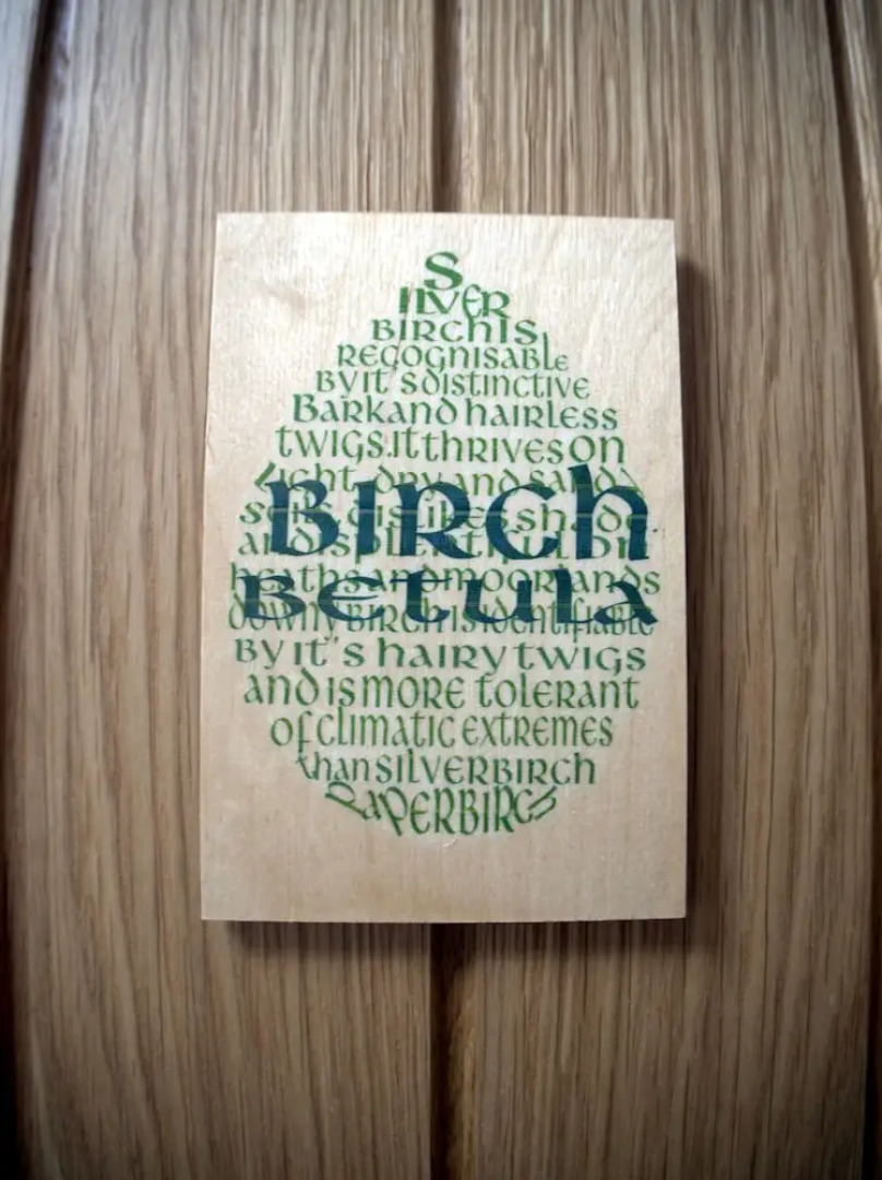 The Sanctuary Cornwall