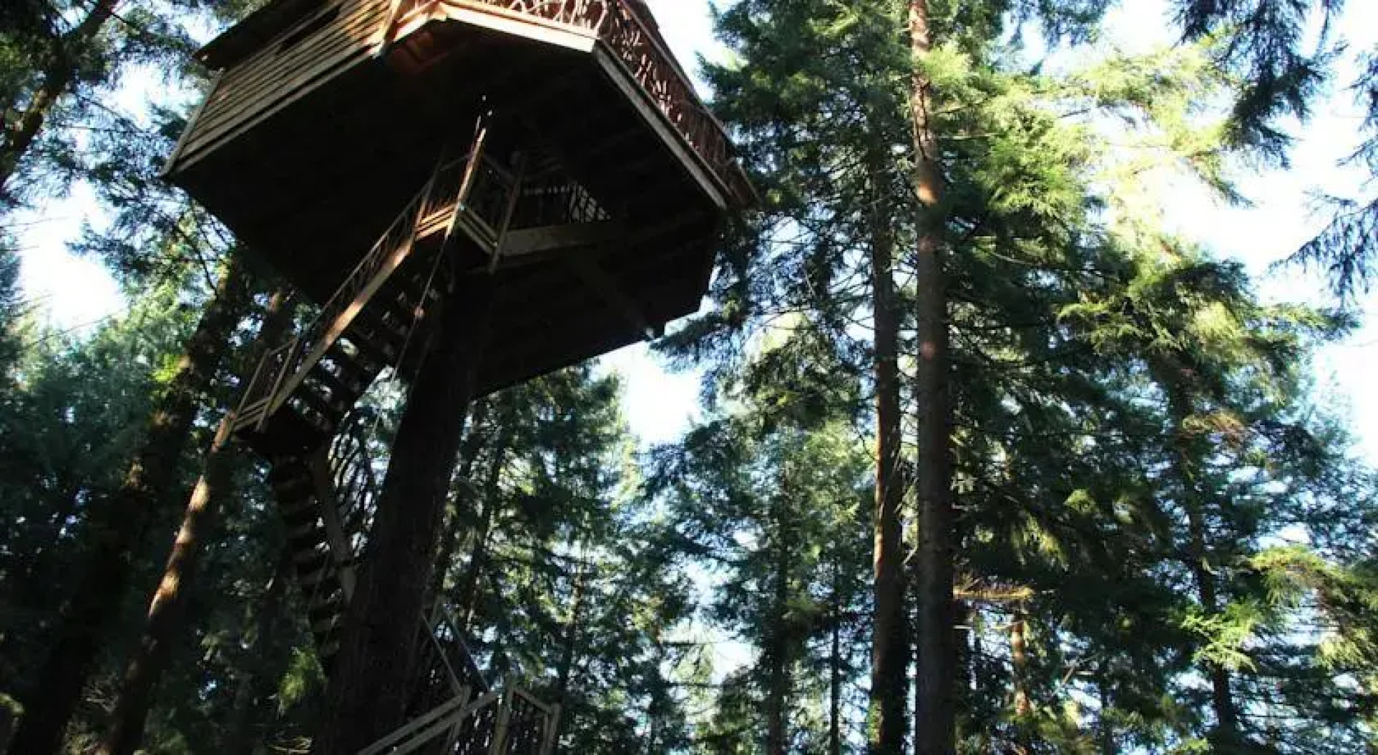 Cabañas en los Árboles
