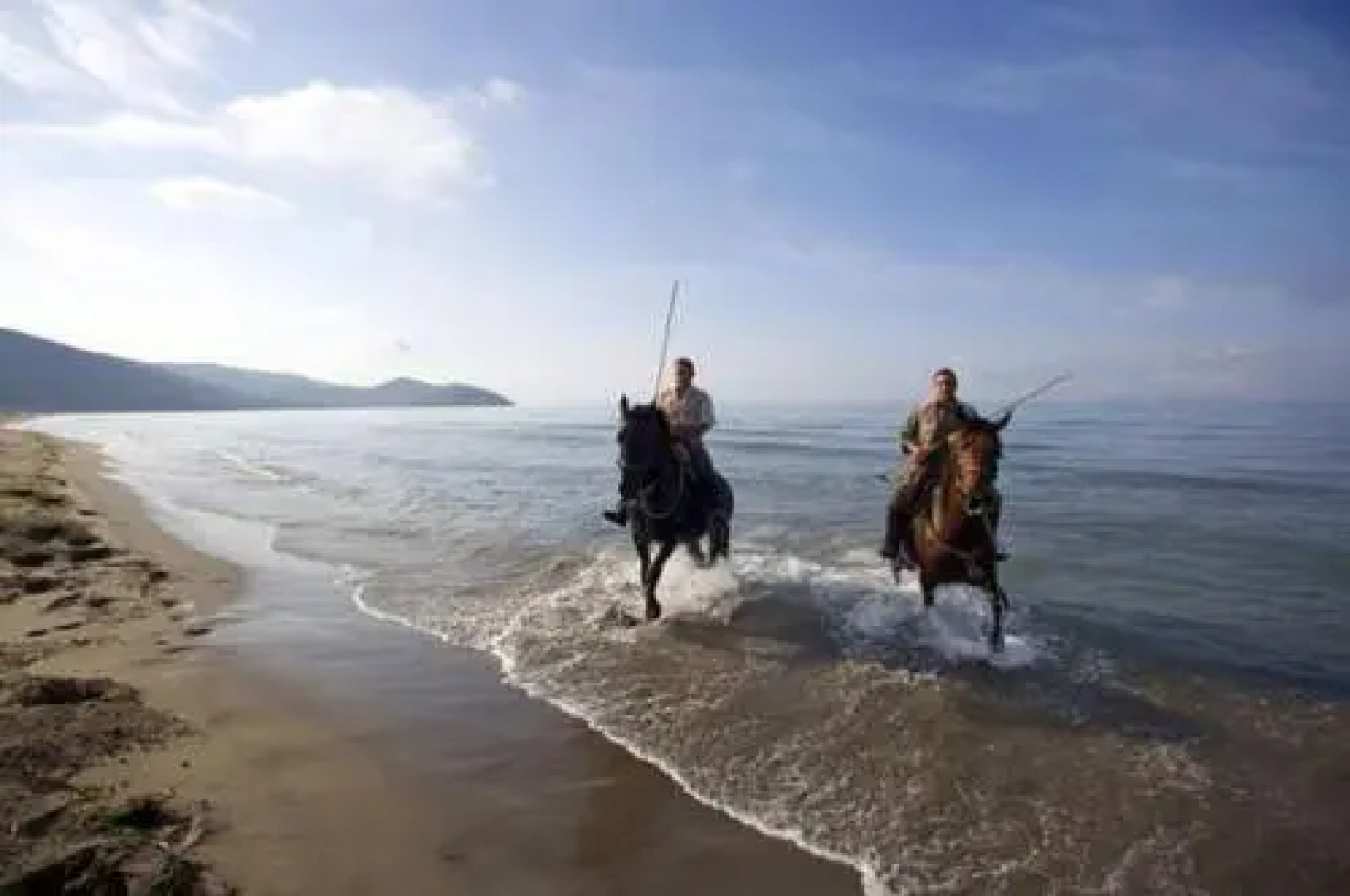 Fattoria il Duchesco