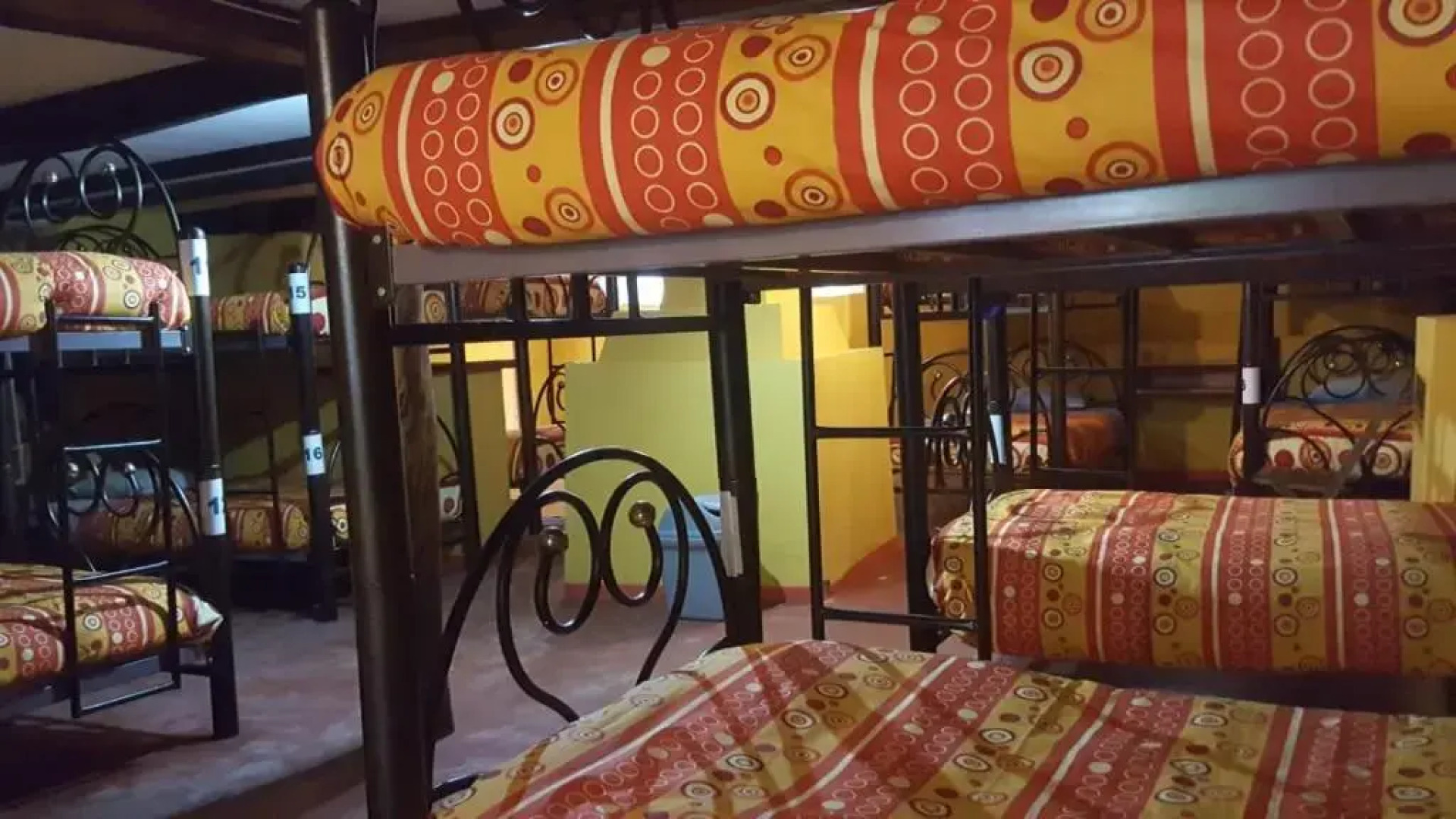 Altai Oasis Eco lodge