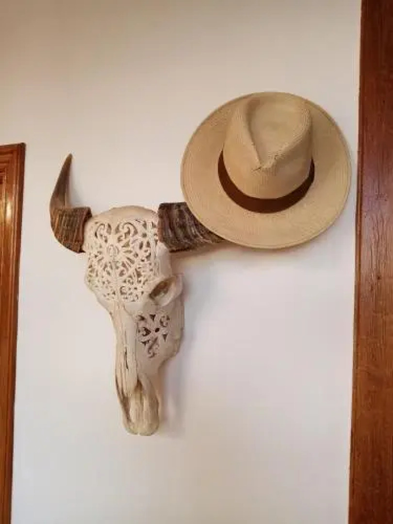 Ziggy's Mountain Retreat