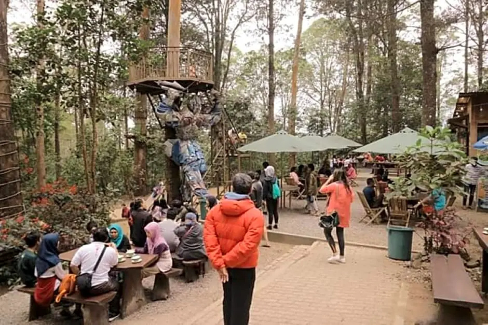 Lawu Forest Camp