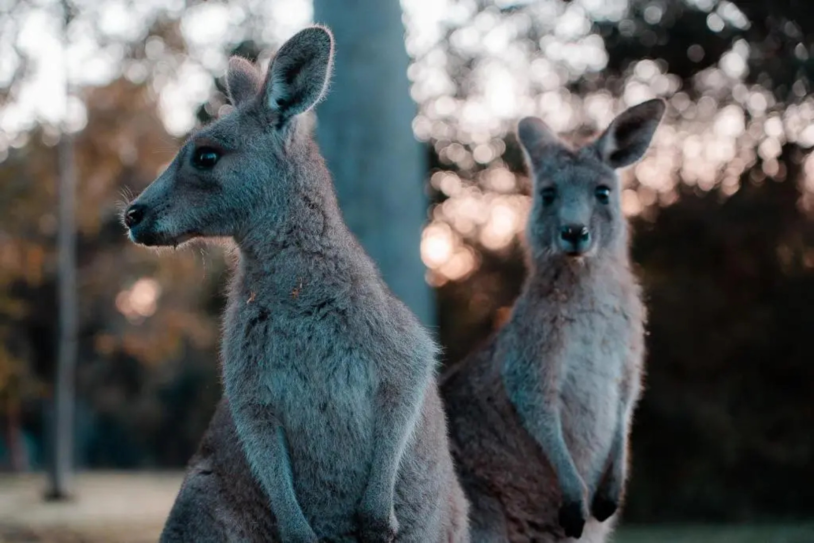 Waterfront Retreat At Wattle Point