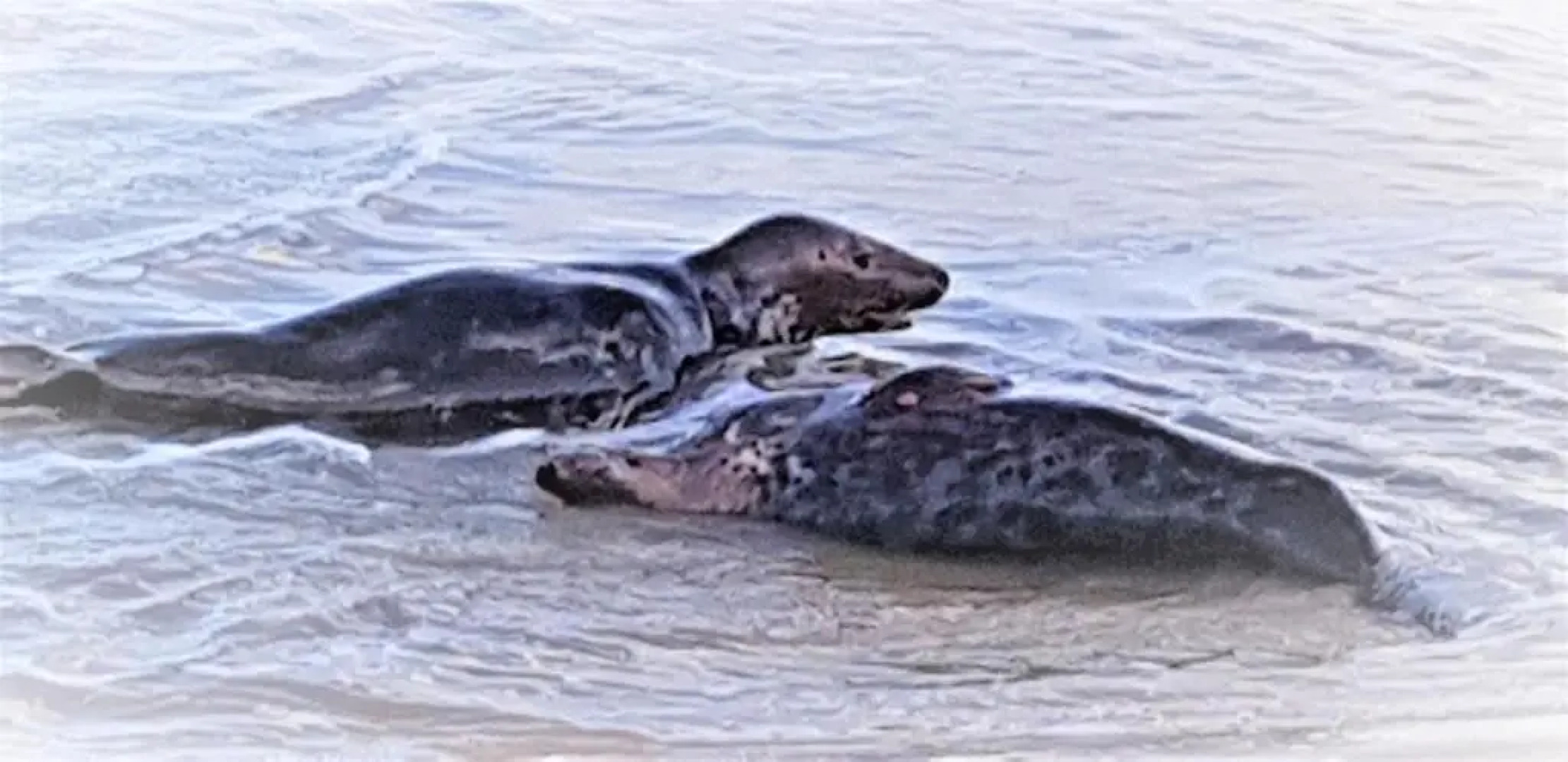 Caister Beach Haven Holiday Home