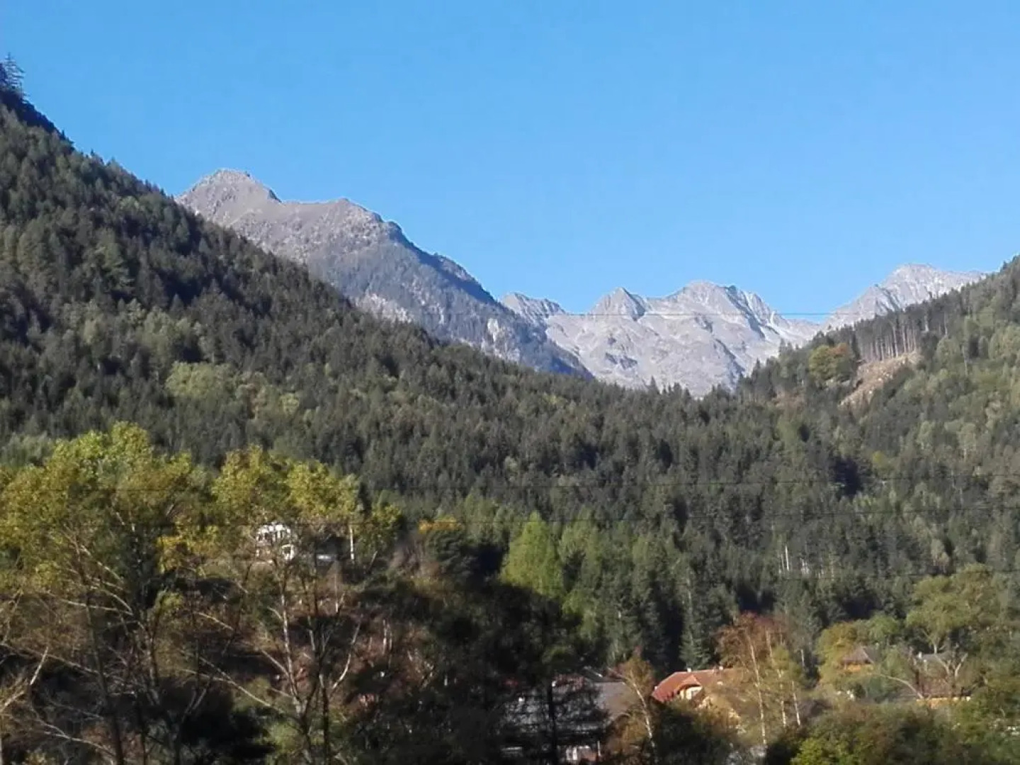 Familiengasthof Zirmhof