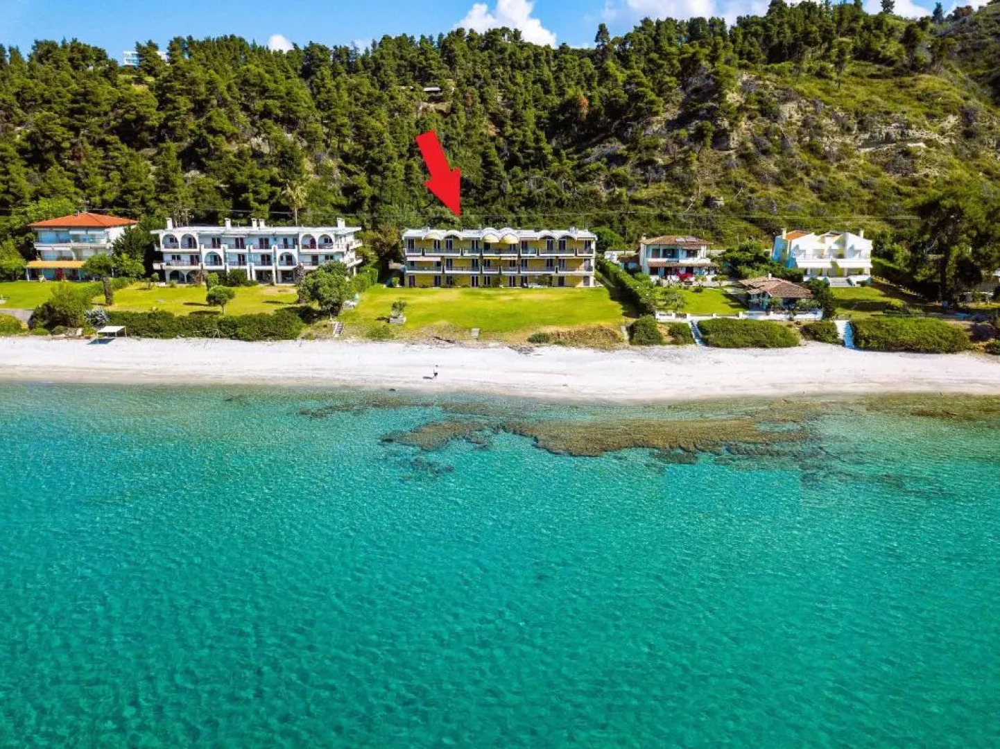 Sunny Bay, beachfront 1-bdrm apartment