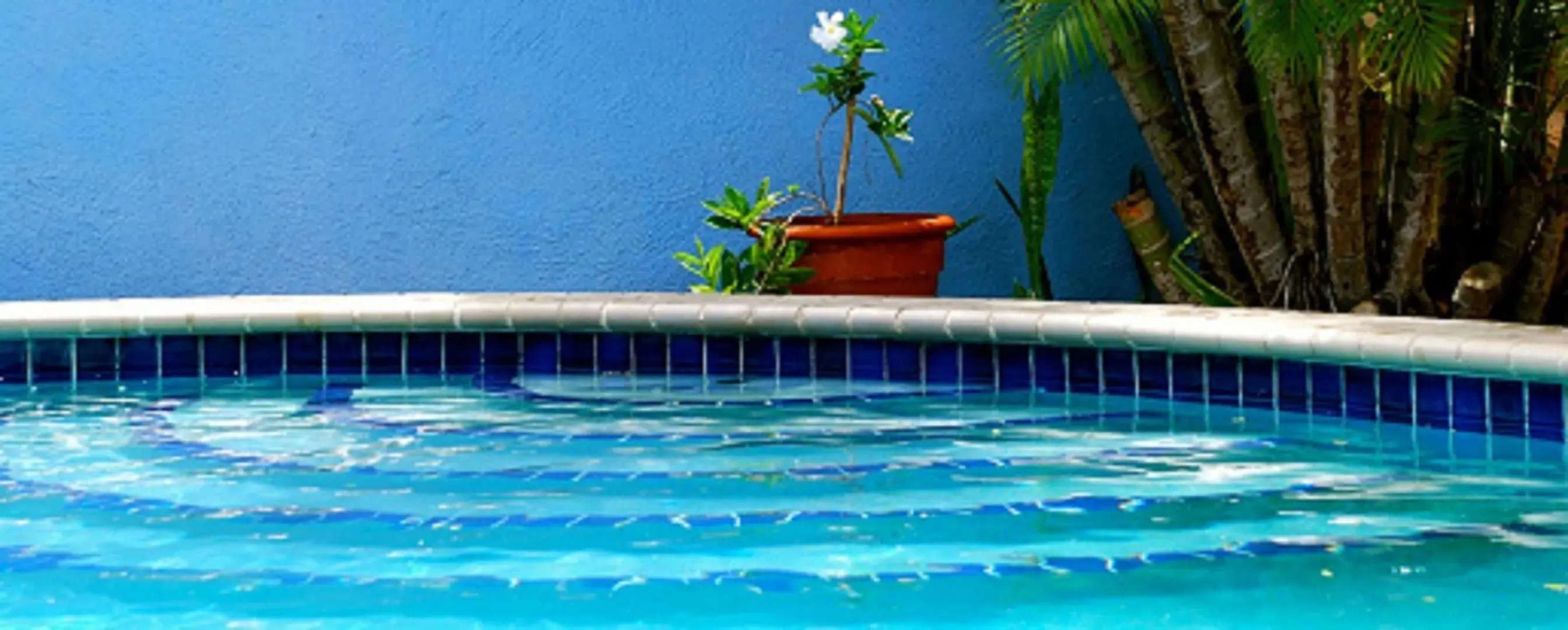 Caribbean Flower Apartments