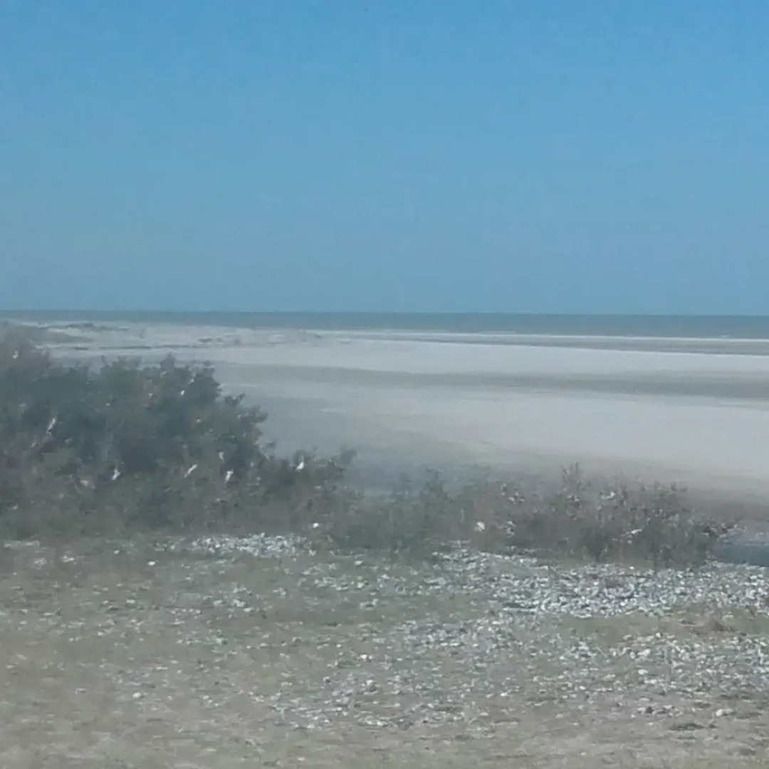 Studio In Ault With Wonderful Sea View Furnished Garden And Wifi - 500 M From The Beach