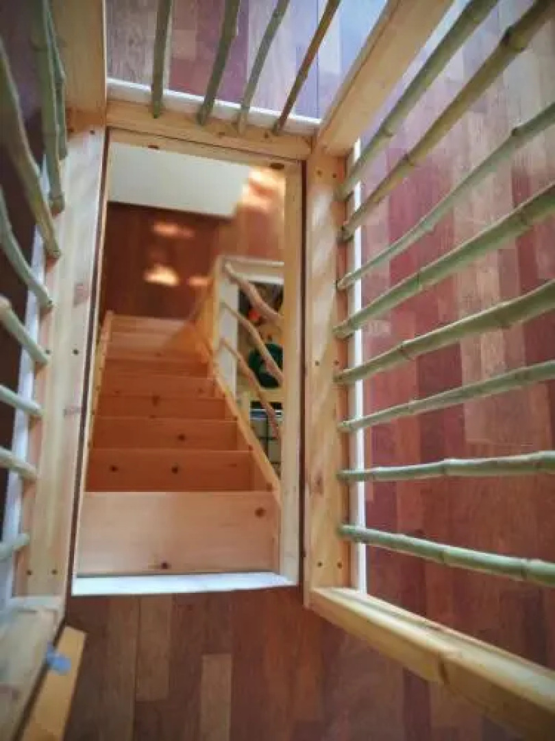 Blue House In The Woods- Amirim