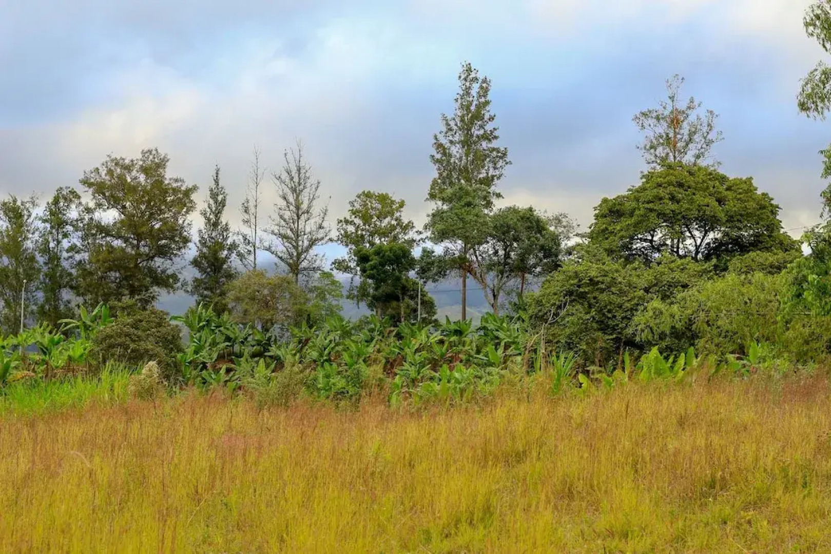 San Julio Hospedaje Campestre
