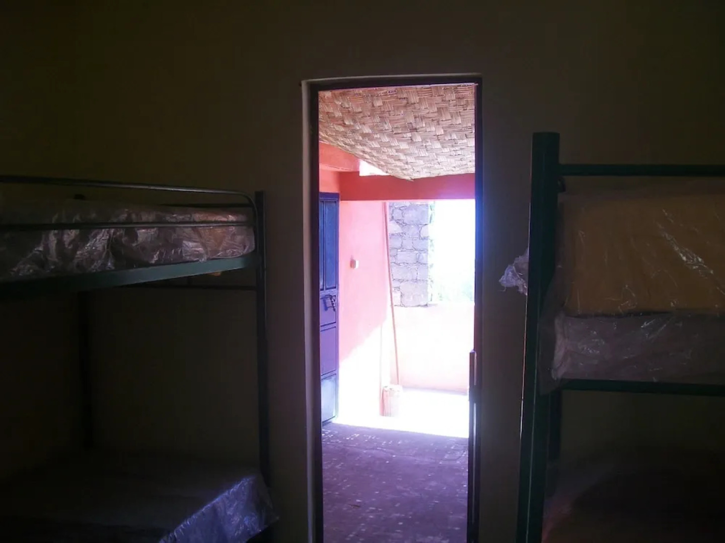 Biosfera Amor do dia