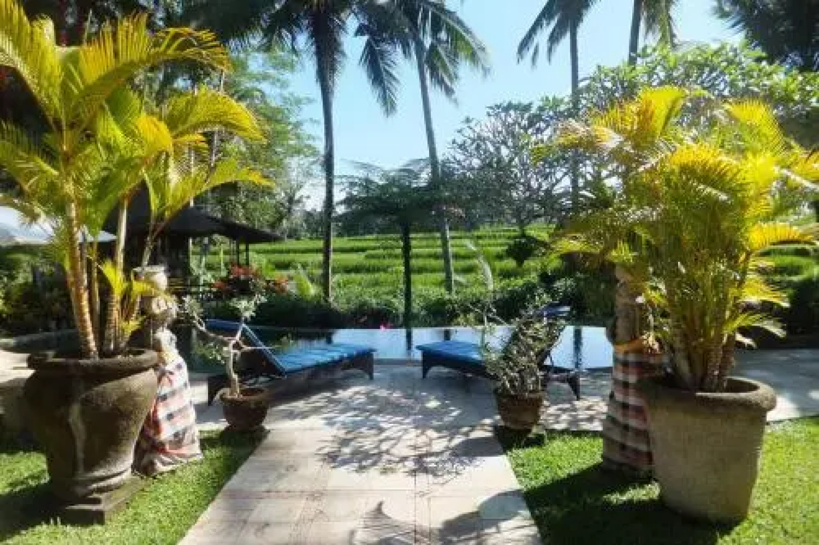 Villa Orchid Bali