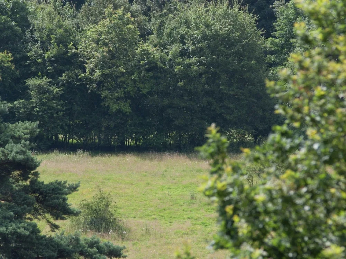 Wooden Holiday Home with Microwave near Brunssummerheide