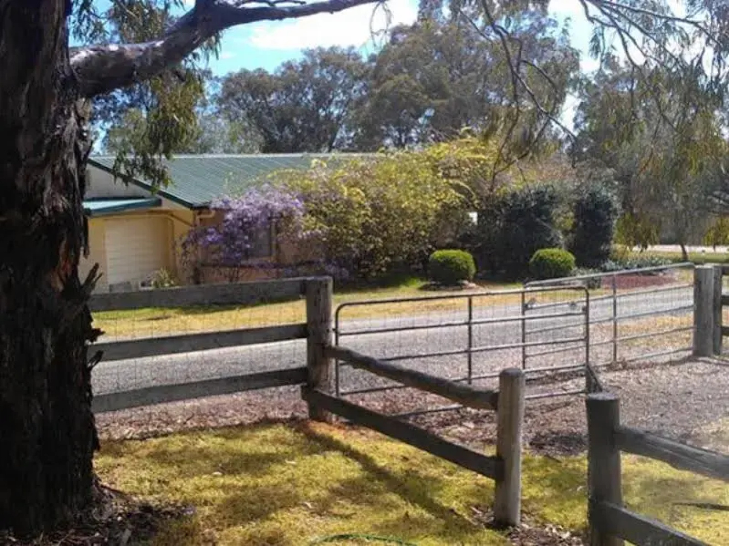 Starline Alpacas Farmstay Resort