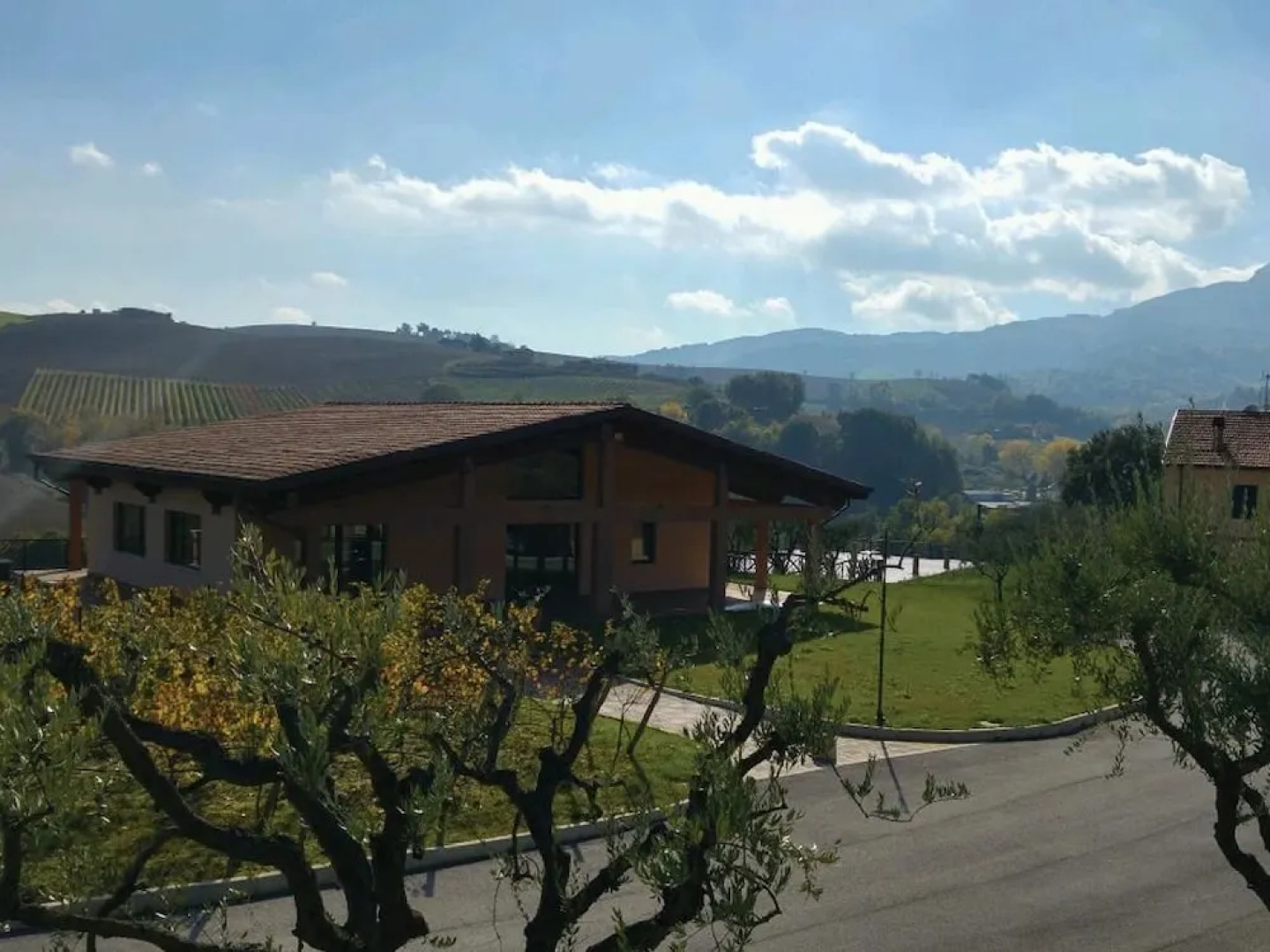 Le Vigne di Clementina Fabi