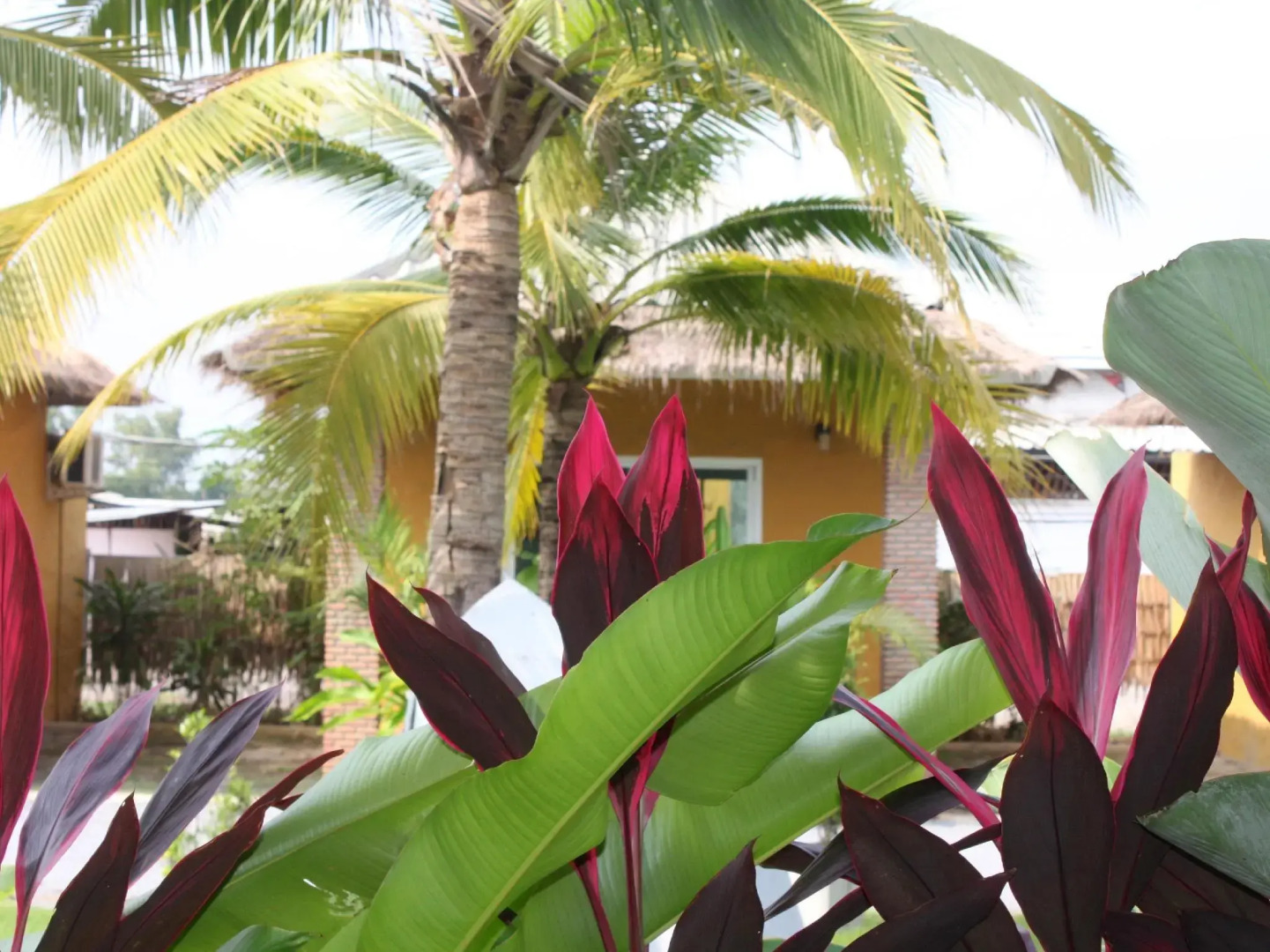 The Park Drive-Thru Check-In Resort