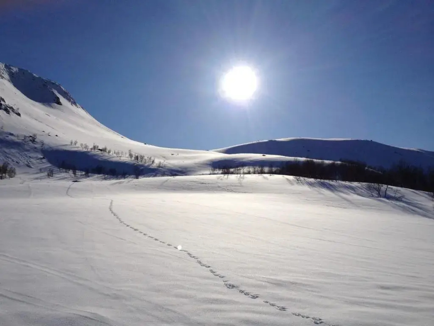 Eidsdal Camping og Feriehus