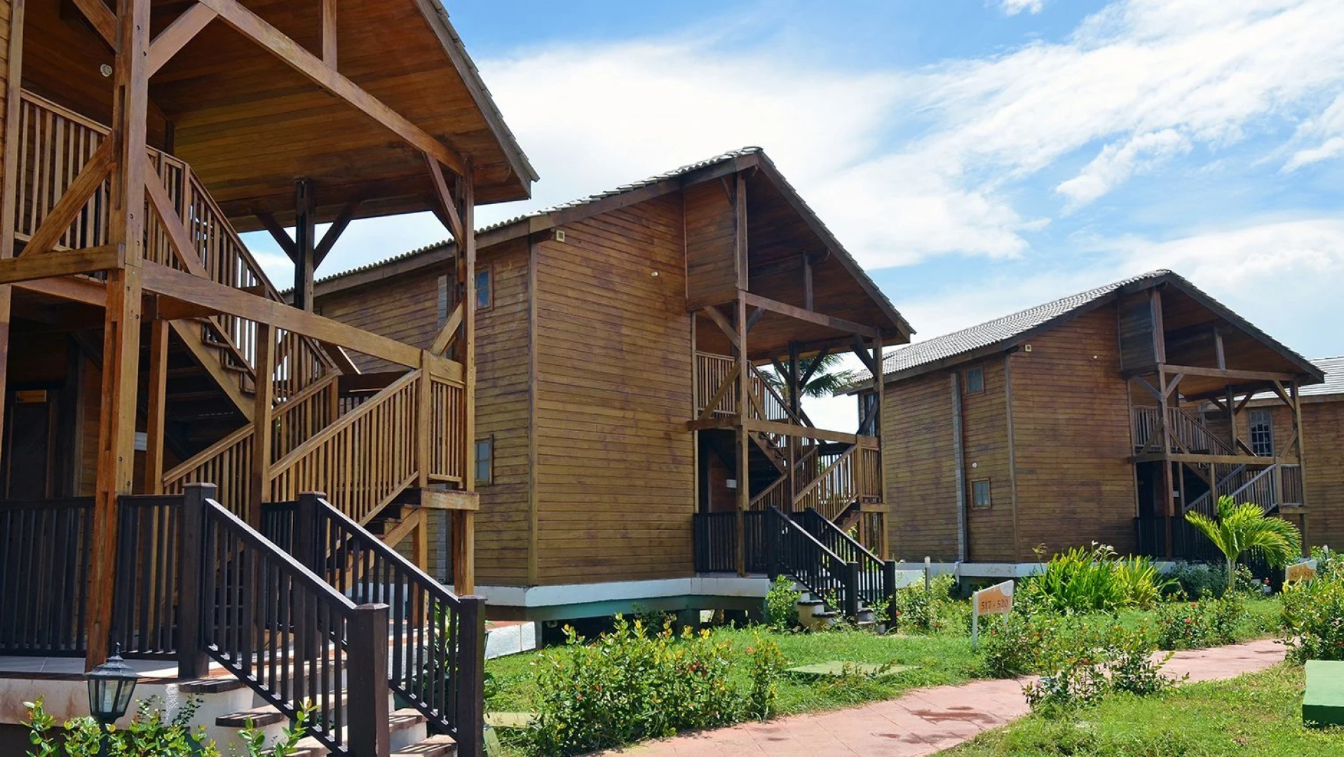 Starfish Cayo Guillermo