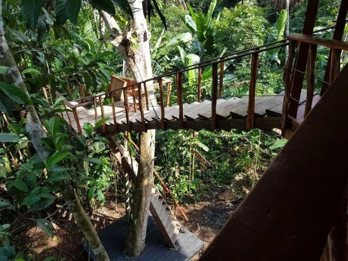 Hotel Pulmon del Mundo